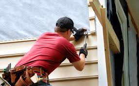 Best Custom Trim and Detailing for Siding  in Denison, IA